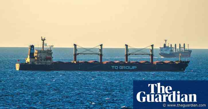 Egypt calls on Vladimir Putin to revive Black Sea grain deal