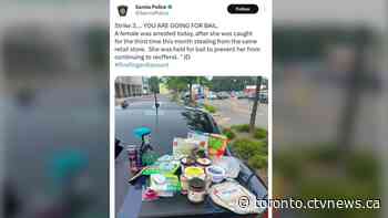 Sarnia, Ont. police delete tweet about woman's shoplifting arrest following backlash
