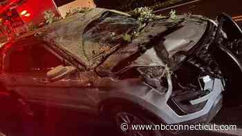 State police trooper and K9 return to duty after tree falls on cruiser in Newington