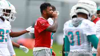 Dolphins fans brave the heat for first public training camp day of 2023 season