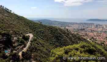 Le massif des Monts Toulonnais interdit d'accès ce lundi en raison d'un risque élevé d’incendie