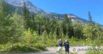 Investigation underway after Alberta plane crash kills 6 people