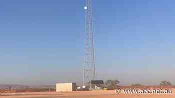 Anger at Andrew Forrest's mining company's decision to switch off mobile coverage