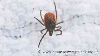 USA: Tausende Fälle von Fleischallergien nach Zeckenstichen