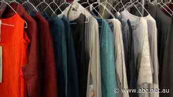 How a live sheep export phase-out could affect the price of your next woollen jumper