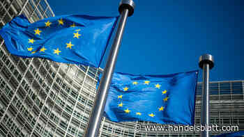 Votum: Warum die KI-Verordnung entschlackt werden sollte