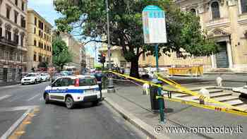 Ramo si spezza e crolla davanti alla fermata del bus in Centro