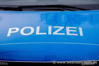 Einbrecher stehlen in Paderborn-Schloß Neuhaus E-Bike und Roller