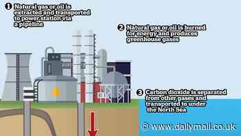 What is carbon capture? How the UK government plans to slash the amount of CO2 being released into the atmosphere by catching it and storing it under the North Sea