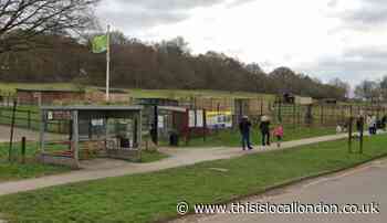 Redbridge parks get Green Flag awards from Keep Britain Tidy