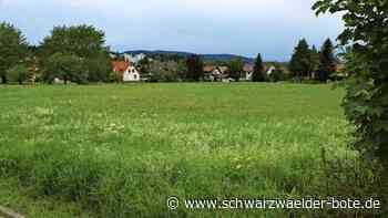 Nach Klage durch „BUND“: Baugebiete in Dobel gehen „zurück auf Los“