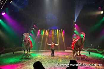 Steinheim: Circus Salino kommt in die Stadt