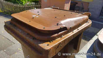 Biotonne stinkt im Sommer: Neuer Standort hilft gegen üblen Geruch