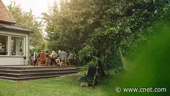 Don't Let Extreme Temps Fry Your Lawn. Here's How to Keep It Beautiful All Summer     - CNET