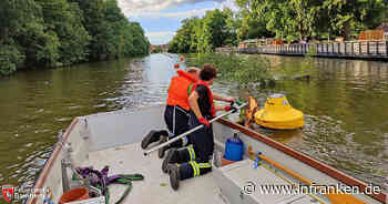 Bamberg: Feuerwehreinsatz oberhalb der Hainbadestelle - Einsatzkräfte müssen Baum sichern