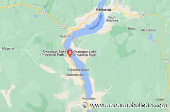 Youngster dies after tree falls at provincial campsite in B.C.’s Okanagan region