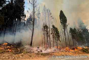 Kamloops residents wake up to ash and smoke from Rossmoore Lake wildfire