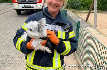 FW-Langenfeld: Rettung aus unwegsamen Gelände