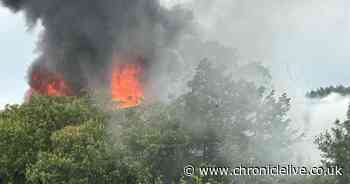 Every update as major Gateshead blaze saw smoke billowing into the sky