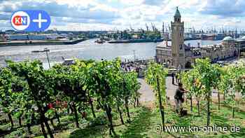Agentur Jung aus Kiel räumt mit Wein und Likör bei Design-Wettbewerb ab 