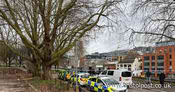 Man accused of Castle Park murder seen with metre-long machete, court heard