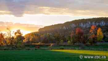 Kitchener man, 58, dies after falling from Mount Nemo in Burlington