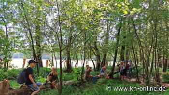 Ferienpass Kreis Segeberg: Diese Aktivitäten haben noch freie Plätze