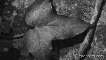 Is Photoshop's Clone Stamp Obsolete?