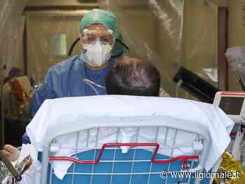 Futuri medici e infermieri, il governo "libera" più posti all'università