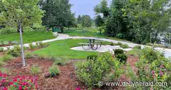 'Those were special times': Now in their 50s, 'Wiffle ball kids' reunite in St. Charles