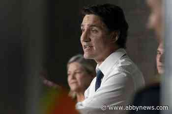 Trudeau appears at news conference with bandage after bumping head