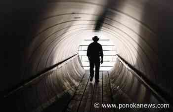 All governments must hold Calgary Stampede accountable after sex abuse settlement: MP