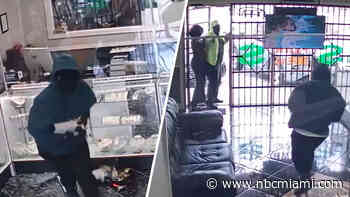 Wild video shows armed suspects smashing glass case at Tampa jewelry store