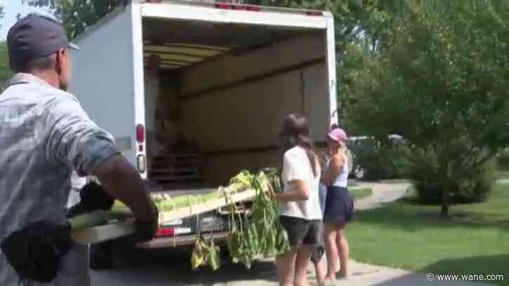 Fort Wayne family beats own record at state fair for tallest sunflower