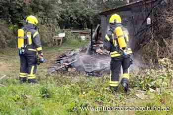 Feuer zerstört Bienenhaus