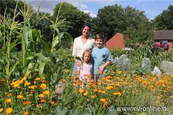 Selbst angebaut schmeckt‘s besser