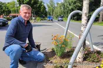 10 500 weitere Blumenzwiebeln bestellt