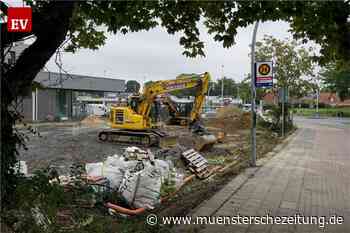 Ab durch die Hecke – unerlaubt