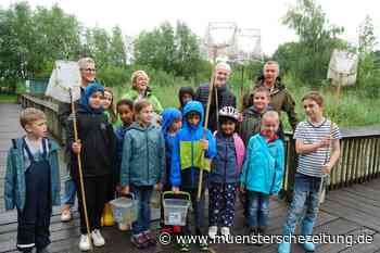 Suche nach Fröschen und Abenteuern