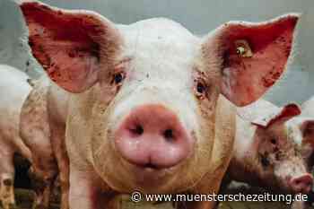 Staatsanwaltschaft sieht noch Aufklärungsbedarf