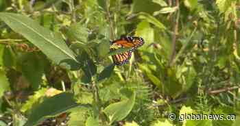 Ontario government creates new conservation reserve in Prince Edward County
