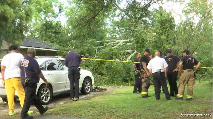 Firefighters rescue 3 from home along Fernwood Drive after tree falls on house