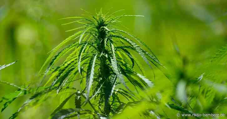 Gewerkschaft der Polizei kritisiert Cannabis-Gesetzentwurf