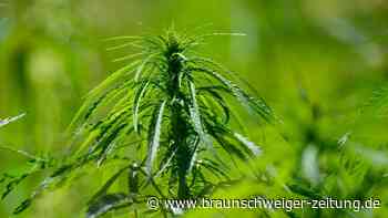 Gewerkschaft der Polizei kritisiert Cannabis-Gesetzentwurf