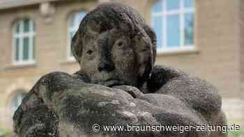 Schau mal an – auch das sind Braunschweiger Gesichter!