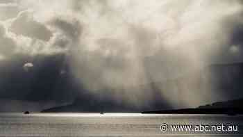 Unseasonably wet winter a dampener for far north farmers, tourists still roll in