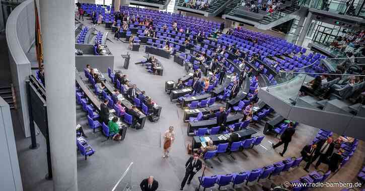 Parteien erhalten wieder mehr Großspenden – AfD vorn