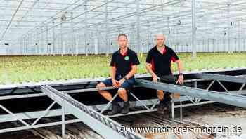 Landwirtschaft: Wie die Bürokratie Vertical Farming ausbremst – ein Fallbeispiel aus Brandenburg