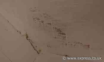 Fair returns for holidaymakers who fled dirty damp rental cottage – The Crusader