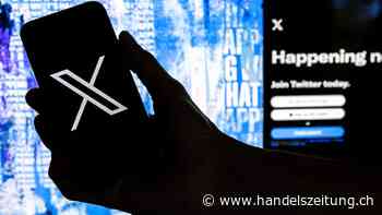 Twitter-Nachfolger X verklagt Hassrede-Forscher
